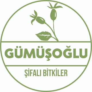 Gümüşoğlu Aktar