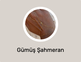 Gümüş Şahmeran