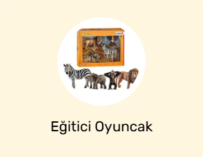 Eğitici Oyuncak