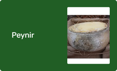 Peynir