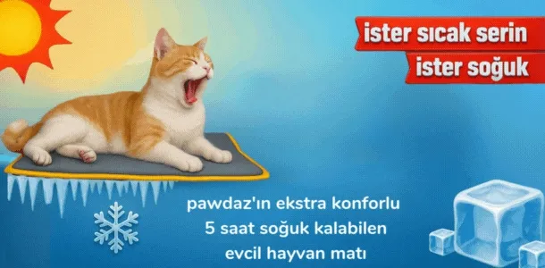 Banner Başlığı