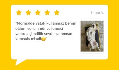 Banner Başlığı