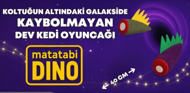 Banner Başlığı