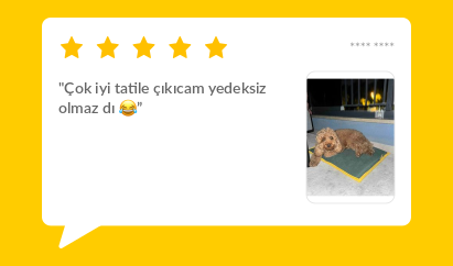 Banner Başlığı