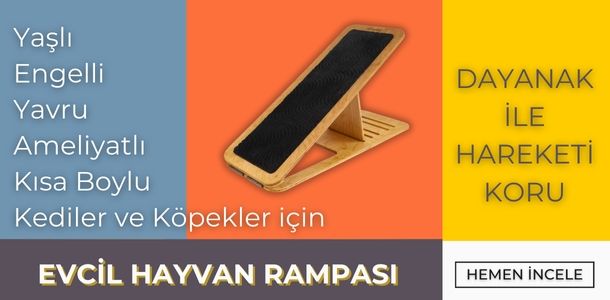 Banner Başlığı