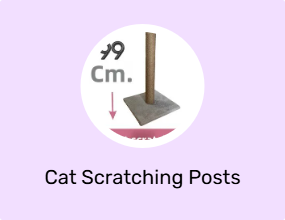 Cat Scratching Posts