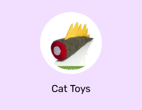 Cat Toys
