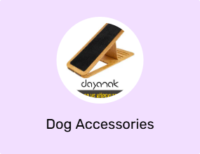 Dog Accessories