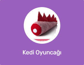 Kedi Oyuncağı