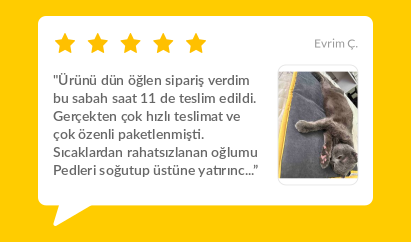 Banner Başlığı
