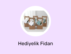 Hediyelik Fidan