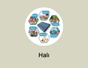 Halı