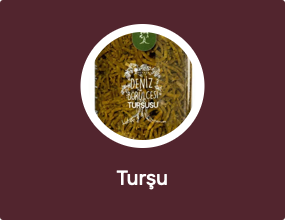 Turşu
