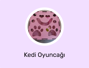 Kedi Oyuncağı