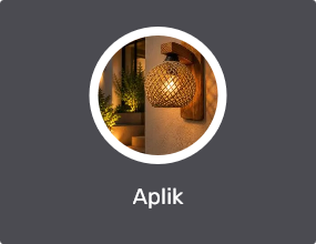 Aplik