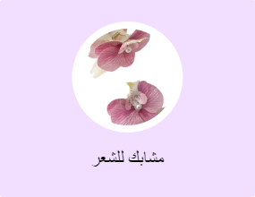 مشابك للشعر