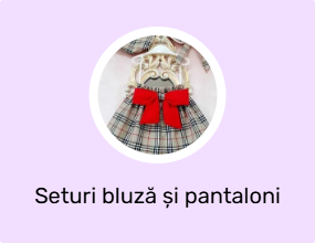 Seturi bluză și pantaloni