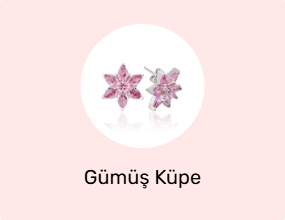 Gümüş Küpe