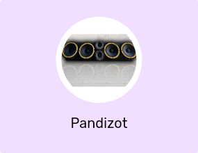 Pandizot