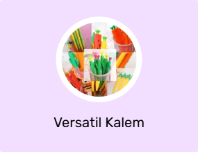 Versatil Kalem