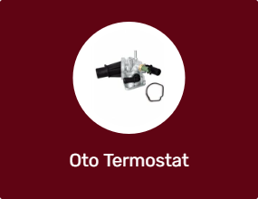 Oto Termostat