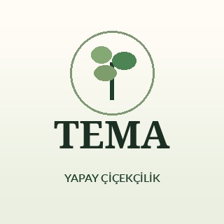 TEMA AJANS