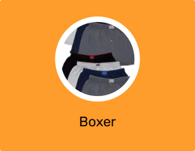 Boxer