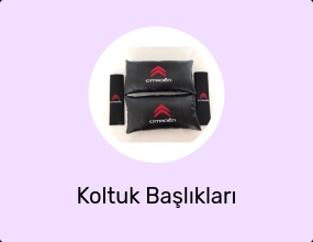 Koltuk Başlıkları