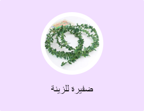 ضفيرة للزينة