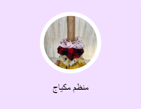منظم مكياج
