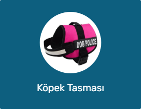 Köpek Tasması