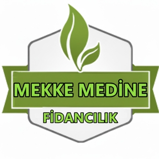 Mekke Medine Fıstıkçılık