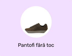 Pantofi fără toc