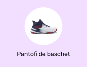 Pantofi de baschet