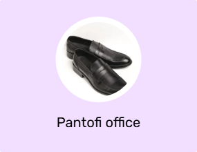 Pantofi office