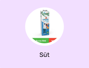 Süt