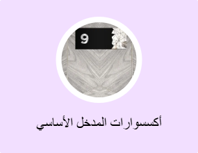 أكسسوارات المدخل الأساسي
