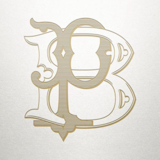 BRAND OCEAN logo