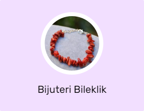 Bijuteri Bileklik