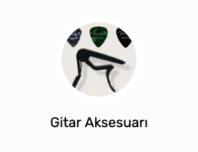 Gitar Aksesuarı