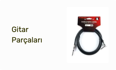 Gitar Parçaları