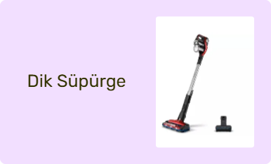 Dik Süpürge