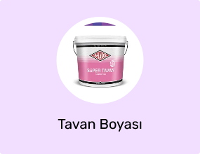 Tavan Boyası
