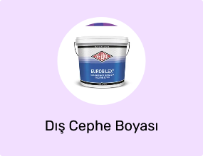 Dış Cephe Boyası