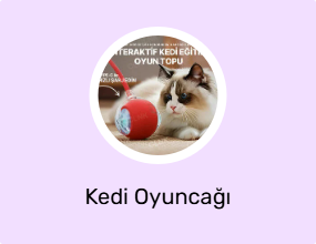Kedi Oyuncağı