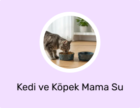 Kedi ve Köpek Mama Su Kabı