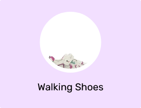 Walking Shoes
