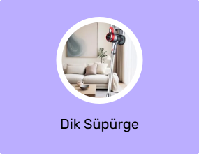 Dik Süpürge