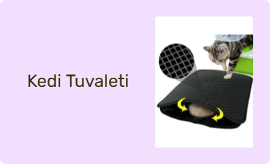 Kedi Tuvaleti