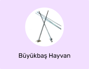 Büyükbaş Hayvan Ürünü